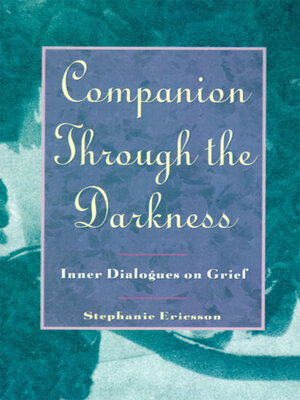 cover image of Companion Through The Darkness